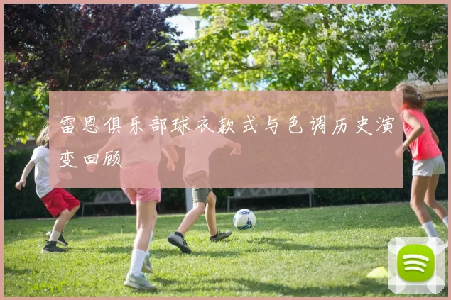 雷恩俱乐部球衣款式与色调历史演变回顾