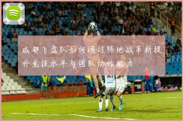 成都飞盘队如何通过阵地战革新提升竞技水平与团队协作能力