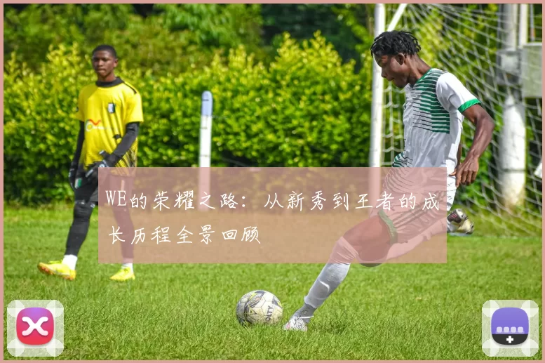 WE的荣耀之路：从新秀到王者的成长历程全景回顾