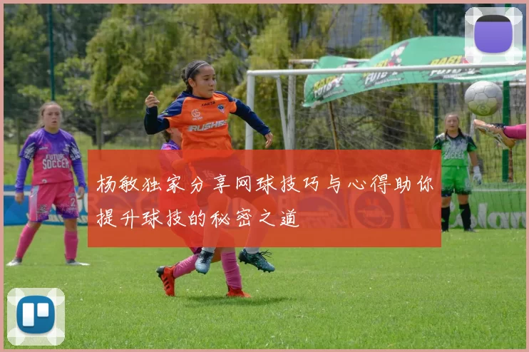 杨敏独家分享网球技巧与心得助你提升球技的秘密之道
