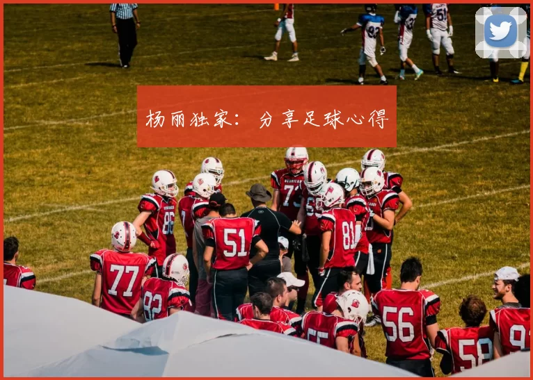 杨丽独家：分享足球心得