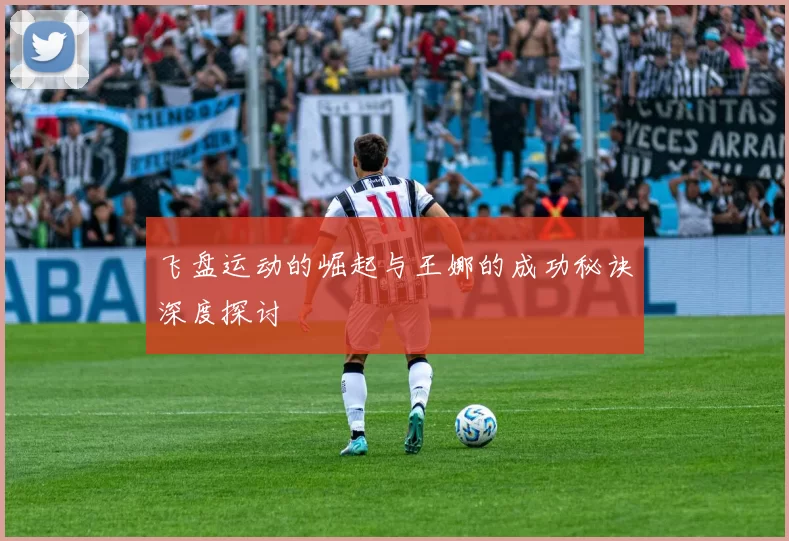飞盘运动的崛起与王娜的成功秘诀深度探讨