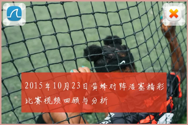 2015年10月23日黄蜂对阵活塞精彩比赛视频回顾与分析