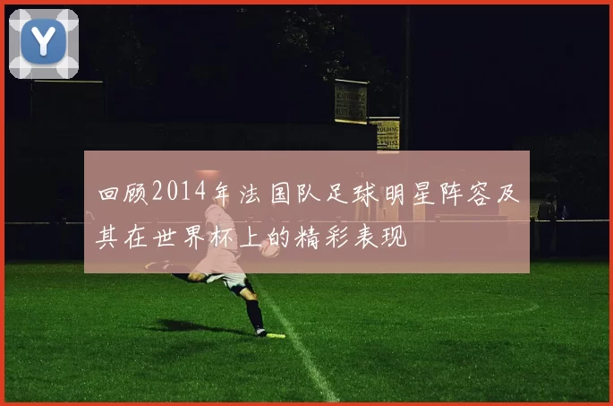 回顾2014年法国队足球明星阵容及其在世界杯上的精彩表现