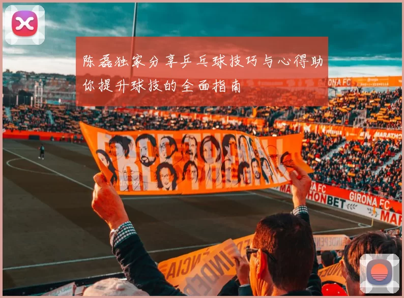 陈磊独家分享乒乓球技巧与心得助你提升球技的全面指南