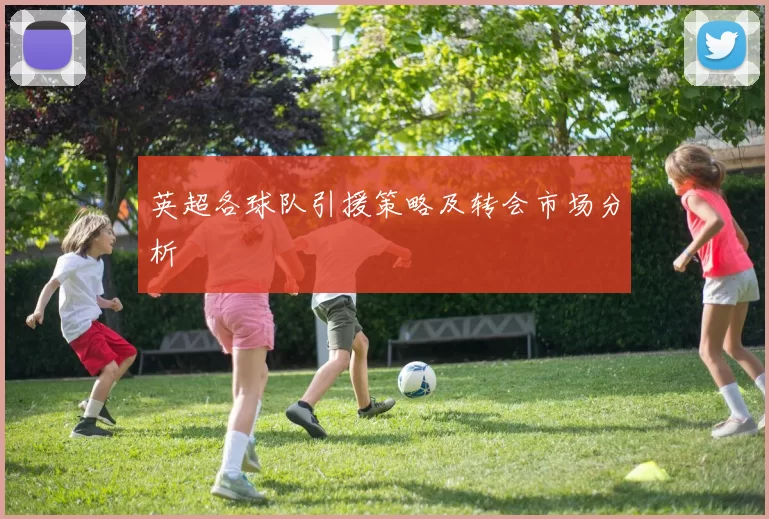 英超各球队引援策略及转会市场分析