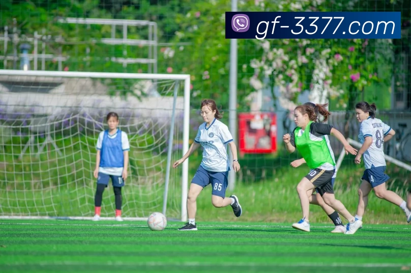 多媒体互动体验