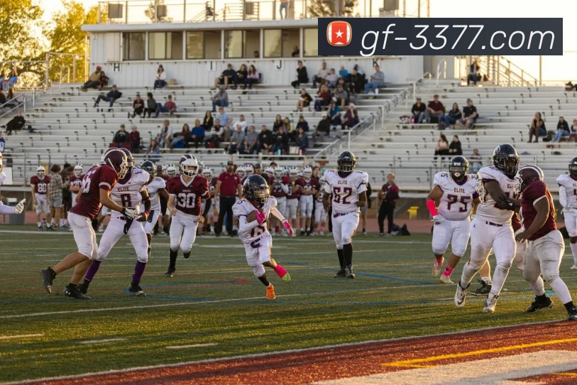 3377体育APP 高清赛事图